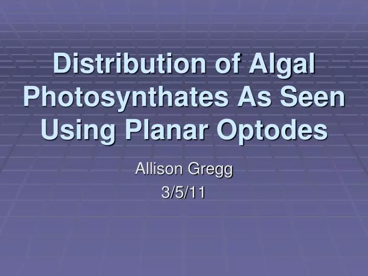 distribution of algal photosynthates as seen using planar optodes