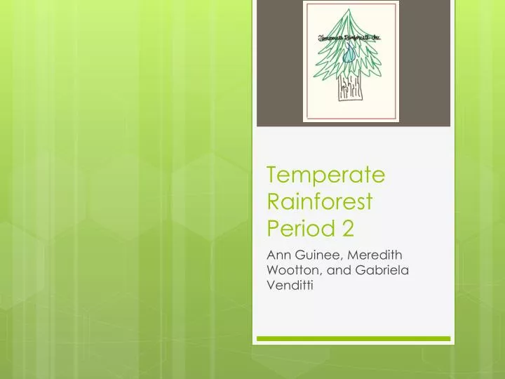 temperate rainforest period 2
