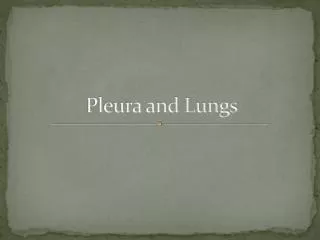 Pleura and Lungs