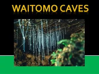 Waitomo Caves