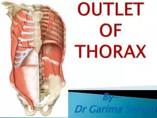 OUTLET OF THORAX