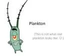 Plankton - slide 1