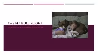 The pit bull plight