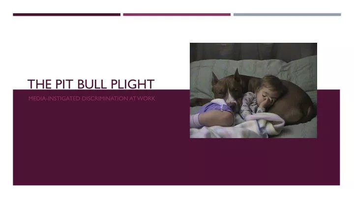 the pit bull plight
