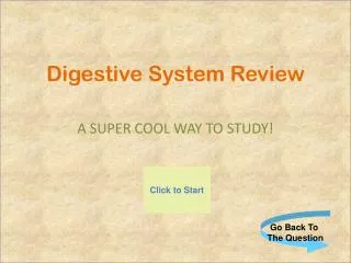 Digestive System Review