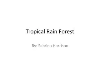 Tropical Rain Forest