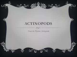 ACtinopods