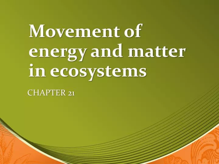 movement of energy and matter in ecosystems