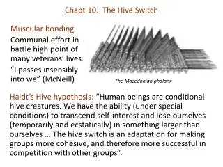 Chapt 10. The Hive Switch