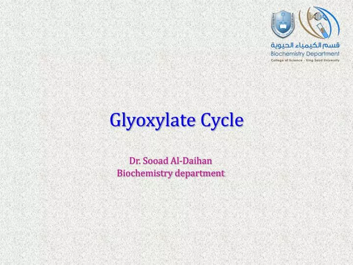 glyoxylate cycle
