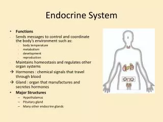 Endocrine System