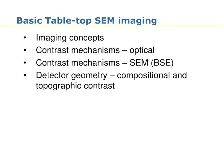 basic table top sem imaging