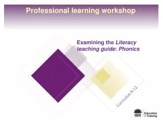Professional learning workshop