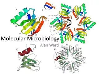 Molecular Microbiology