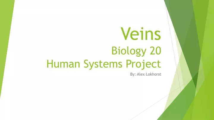 veins biology 20 human systems project