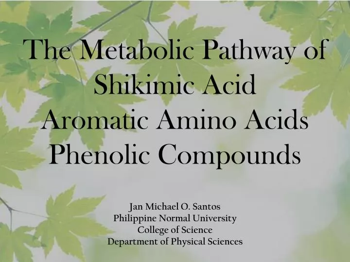 the metabolic pathway of shikimic acid aromatic amino acids phenolic compounds