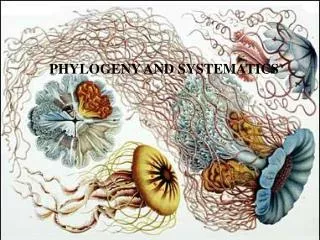 PHYLOGENY AND SYSTEMATICS