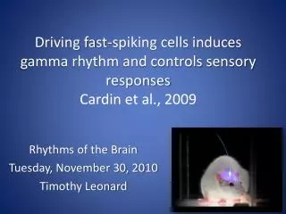 Rhythms of the Brain Tuesday, November 30, 2010 Timothy Leonard