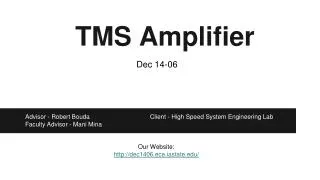 TMS Amplifier