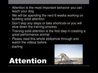 Attention