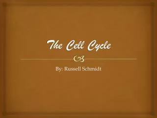 The C ell Cycle