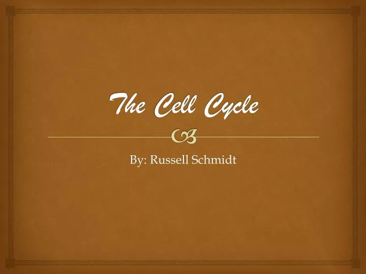 the c ell cycle