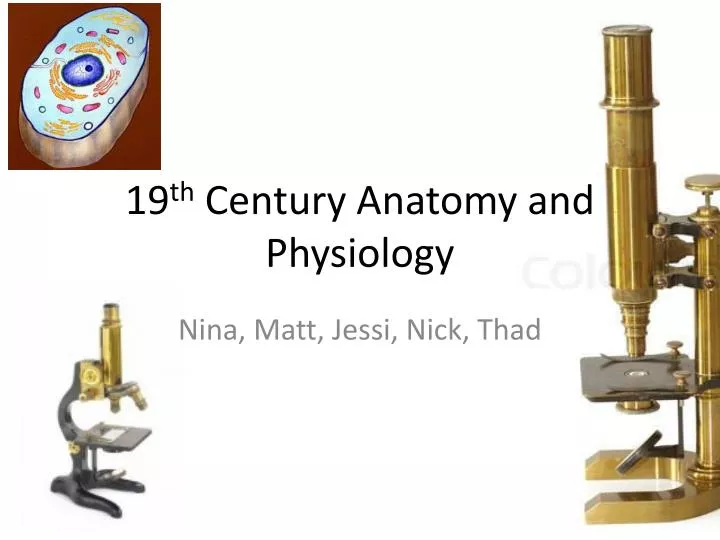 19 th century anatomy and physiology