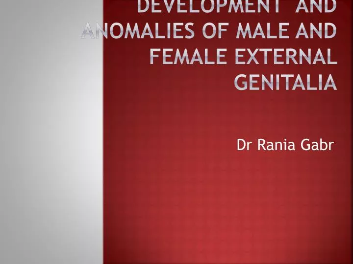 development and anomalies of male and female external genitalia
