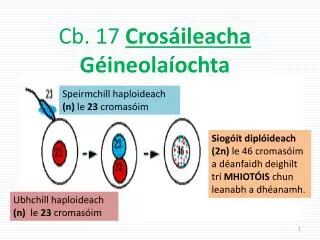 Cb . 17 Crosáileacha Géineolaíochta