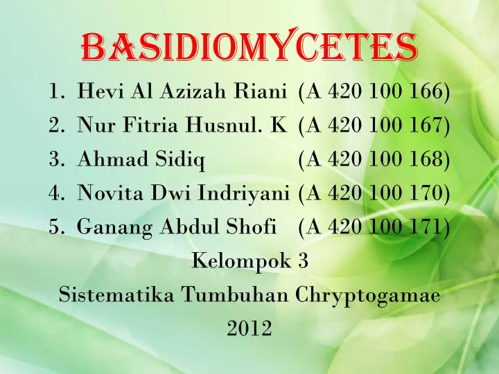 basidiomycetes