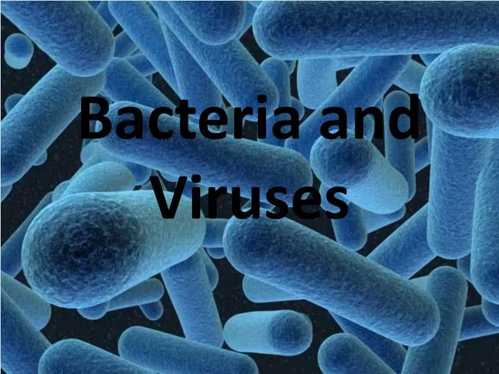 bacteria and viruses