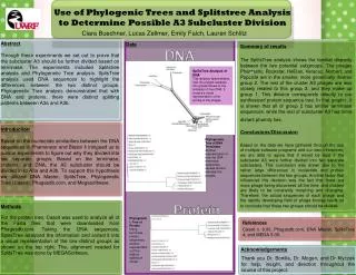 Use of Phylogenic Trees and Splitstree Analysis to Determine Possible A3 Subcluster Division