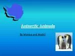Antarctic Animals - slide 1