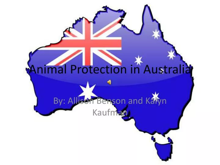 animal protection in australia