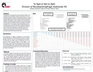 To Split or Not to Split: Division of Mycobacteriophage Subcluster A3