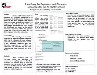 Identifying the Repressor and S toperator sequences for the A3 cluster phages