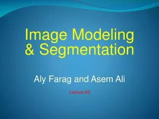 Image Modeling &amp; Segmentation