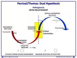 Percival/Thomas: Dual Hypothesis Pathogenesis INTER-RELATIONSHIP