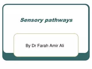 Sensory pathways
