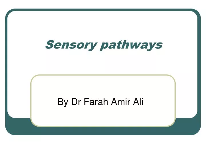 sensory pathways