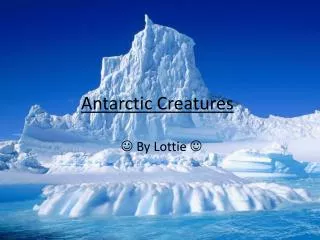 Antarctic Creatures