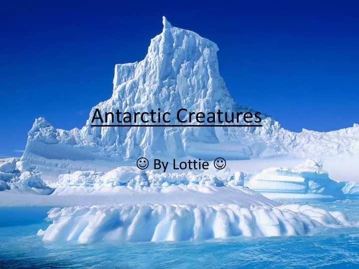antarctic creatures