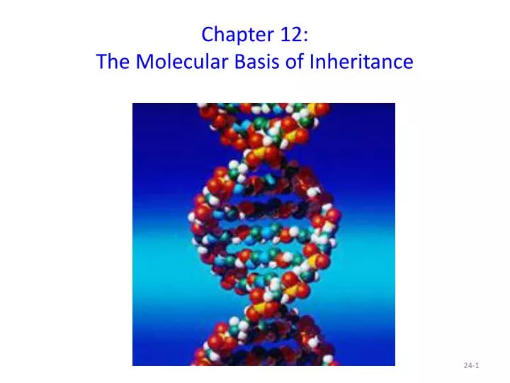 chapter 12 the molecular basis of inheritance