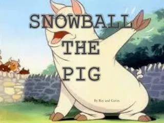 Snowball T he Pig