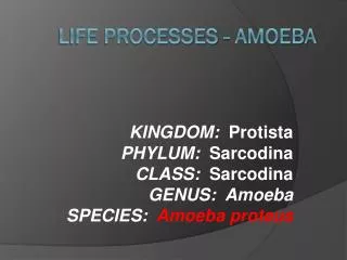Life Processes - Amoeba