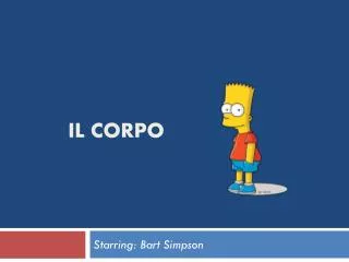il corpo