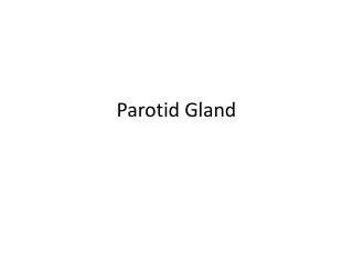 Parotid Gland