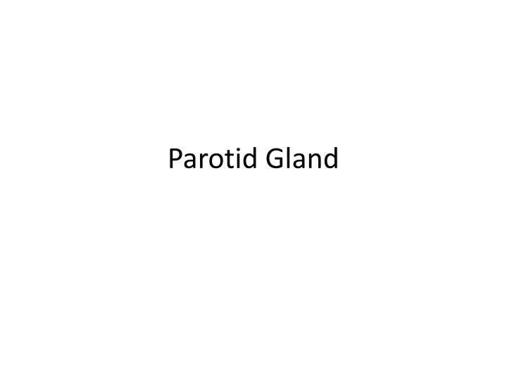 parotid gland