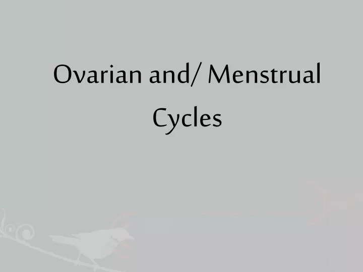 ovarian and menstrual cycles