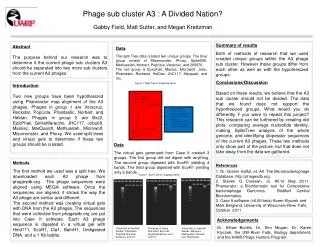 Phage sub cluster A3 : A Divided Nation?